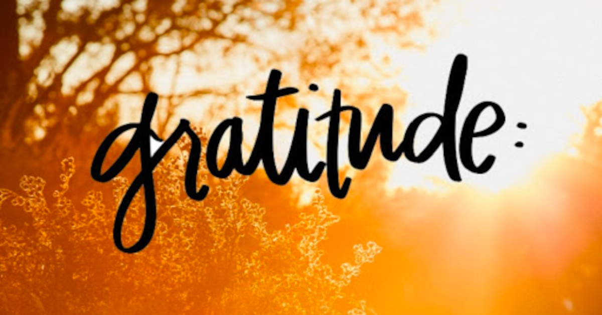 Debt Of Gratitude